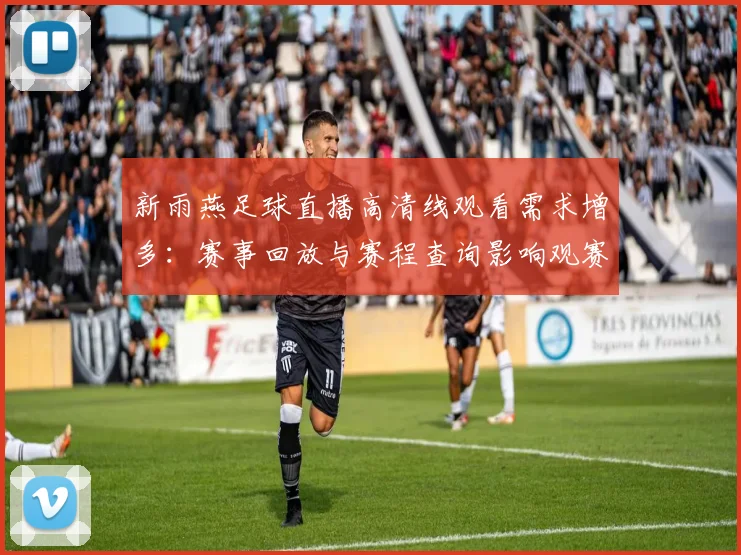 新雨燕足球直播高清线观看需求增多：赛事回放与赛程查询影响观赛体验