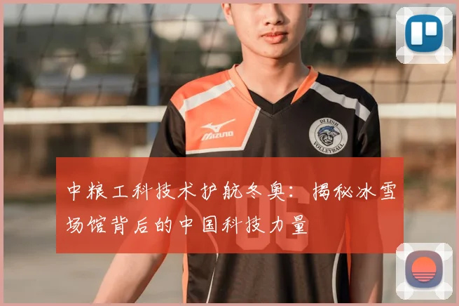 中粮工科技术护航冬奥：揭秘冰雪场馆背后的中国科技力量