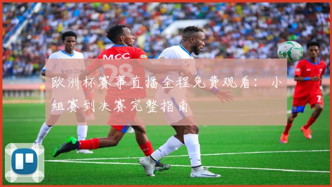 欧洲杯赛事直播全程免费观看：小组赛到决赛完整指南