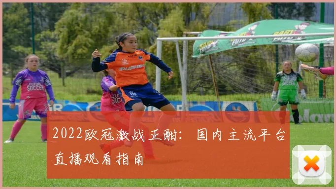 2022欧冠激战正酣：国内主流平台直播观看指南