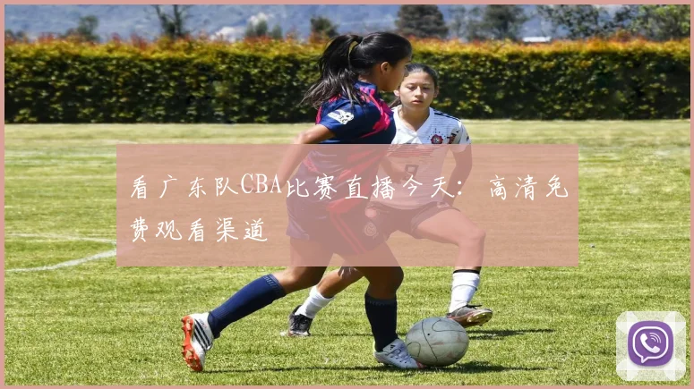 看广东队CBA比赛直播今天：高清免费观看渠道