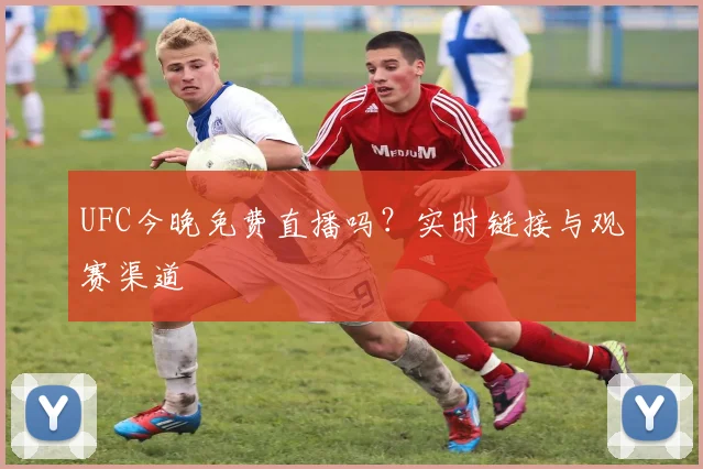 UFC今晚免费直播吗？实时链接与观赛渠道