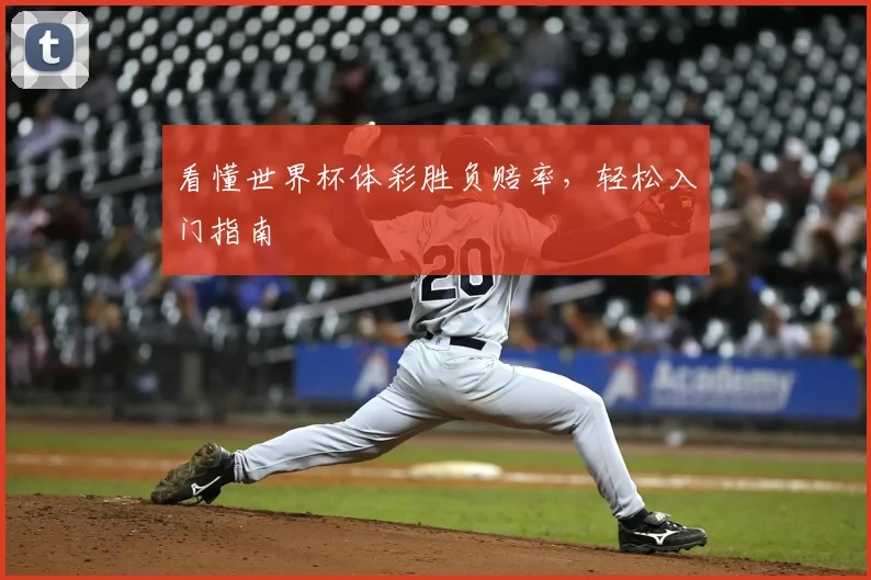 看懂世界杯体彩胜负赔率，轻松入门指南
