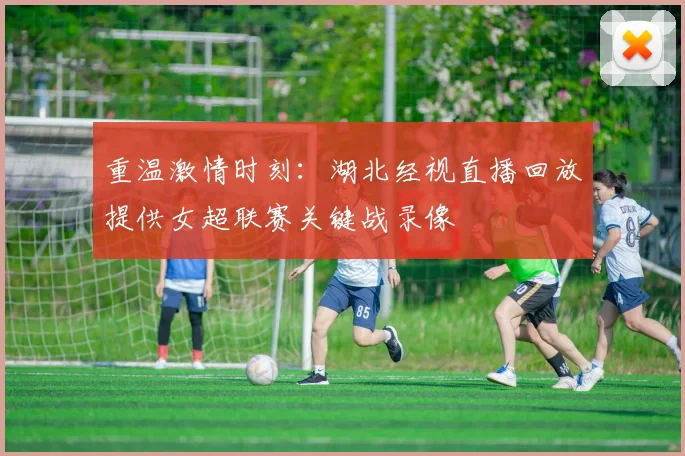重温激情时刻：湖北经视直播回放提供女超联赛关键战录像