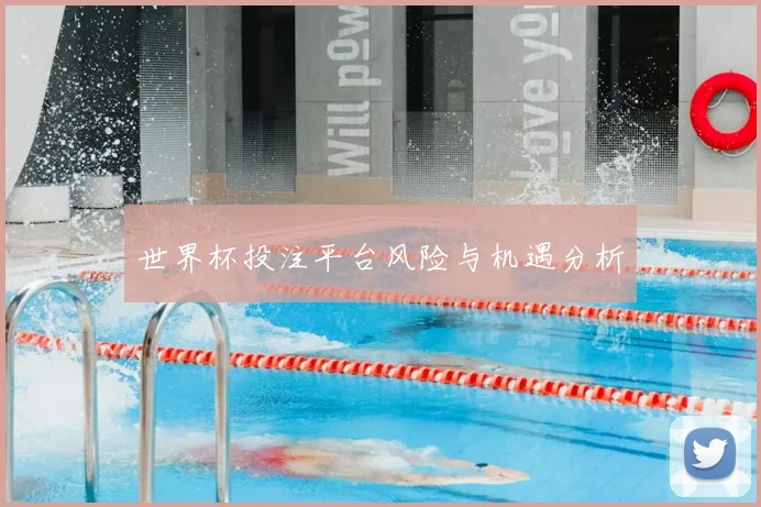 世界杯投注平台风险与机遇分析