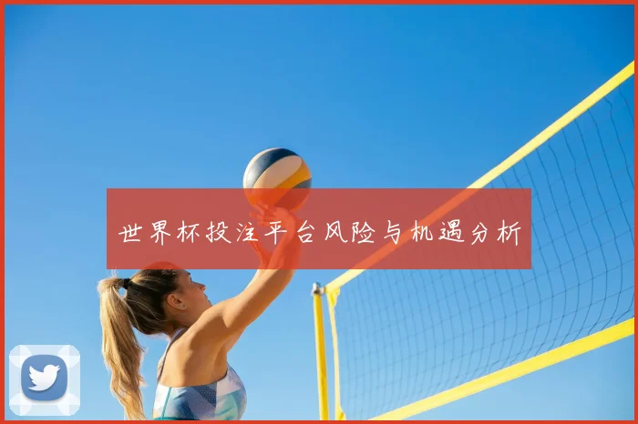 世界杯投注平台风险与机遇分析