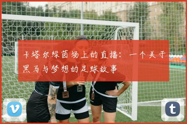卡塔尔绿茵场上的直播：一个关于黑马与梦想的足球故事