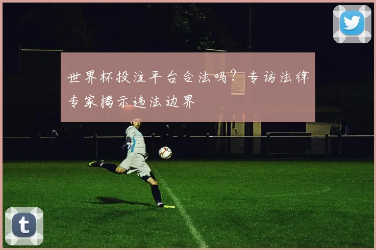 世界杯投注平台合法吗?专访法律专家揭示违法边界